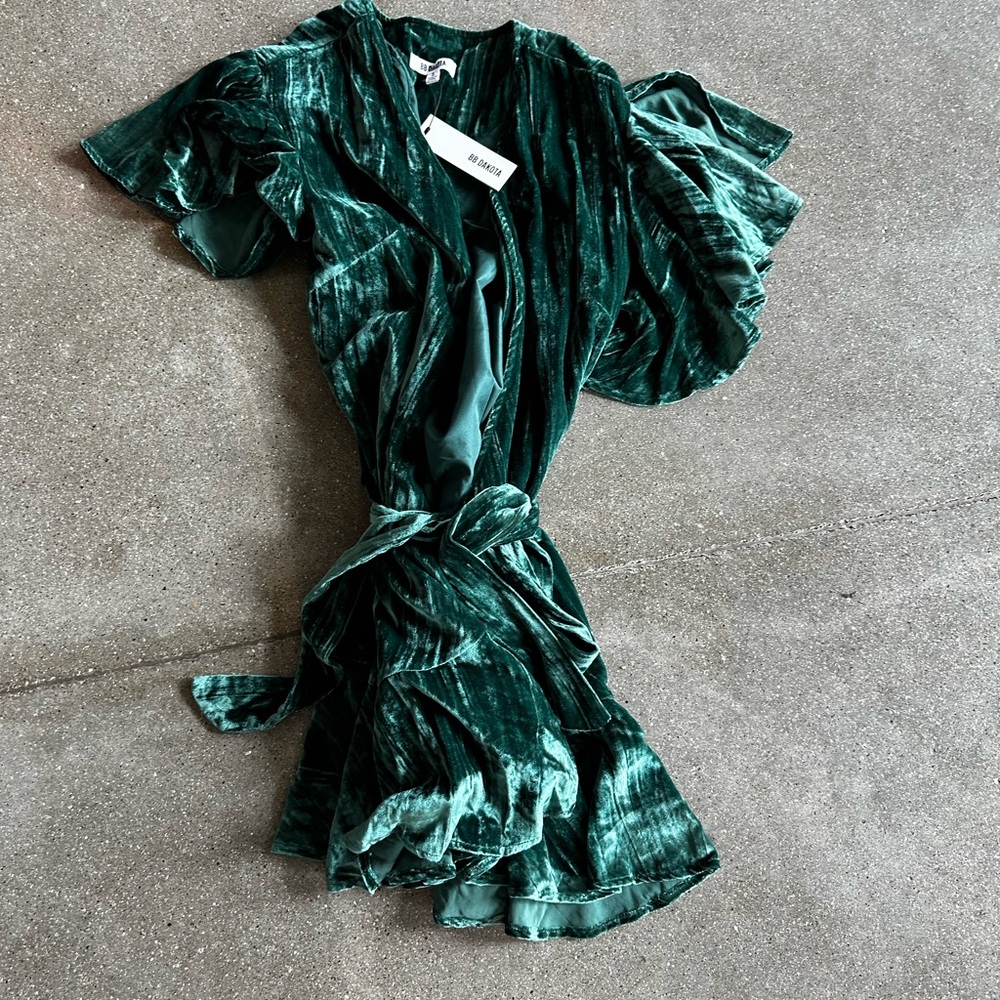BB Dakota Velvet Dress